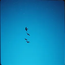 Clear Sky