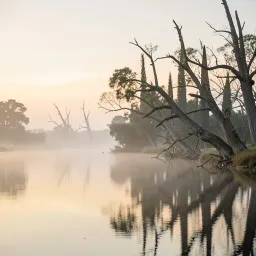 Still Waters