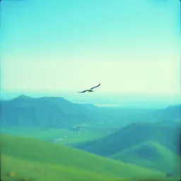 Finally Free