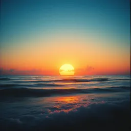 Chasing Paradise