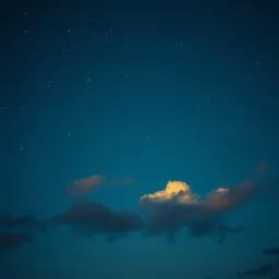 Guided by the Stars