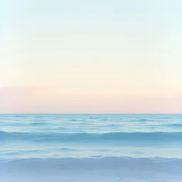 Everything Has Its Own Time