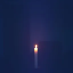 Through the Shadows