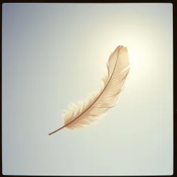 Angel of My Heart