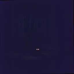 ANOtheR dARk DReAM