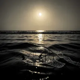 Nocturne Of The Undertow