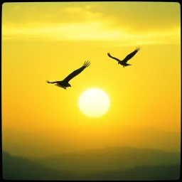Rise with the Dawn