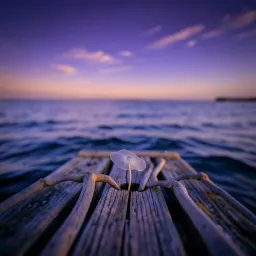 Violet Waves