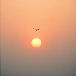 Dance of New Beginnings