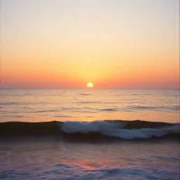 orange days hiraidai