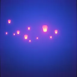 Shadows in the Night
