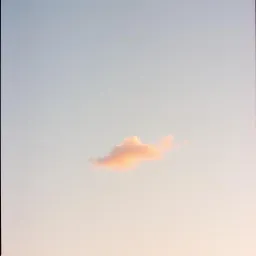 Floating in the Moment