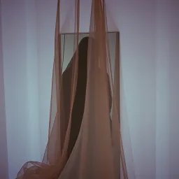 The Other Woman