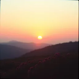 Rise and shine
