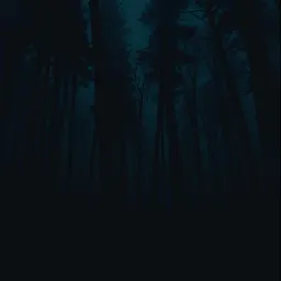 Тени вокруг нас