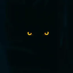 I ONLY HAVE EYES FOR YOU
