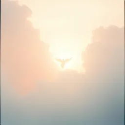 " An angel Came Last Night "