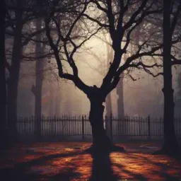 Just Checkin'