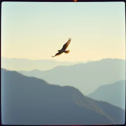 Fly Away
