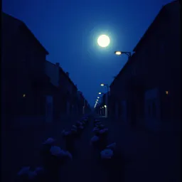 Porque te fuiste