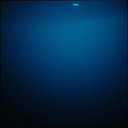 The Void