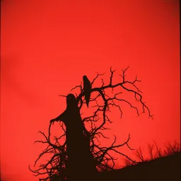 Blood Debt