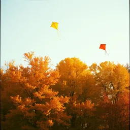Die Herbstzeit