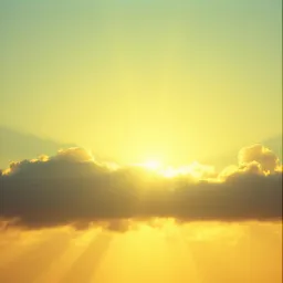 Sunlight