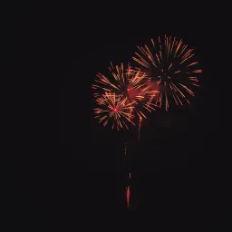 Rapid Fires