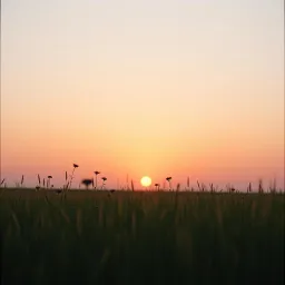 Chance To Say Goodbye