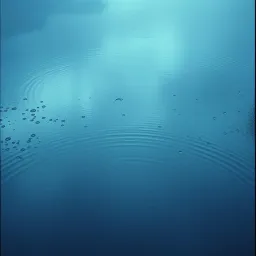 Rainy Day Reflections