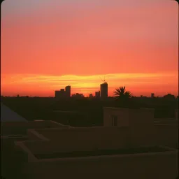 Sunset Rooftop Symphony