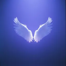 Don't Give Up The Fight
