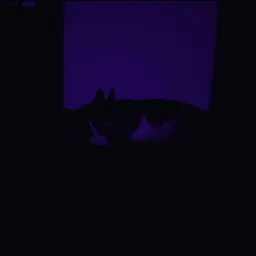 DEEP SLEEP