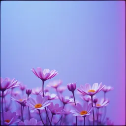 Frequency of Feelings