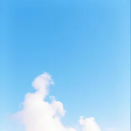12-