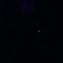 huntmedown