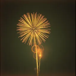 Explosão no campo