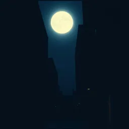 Vengeance in the Night