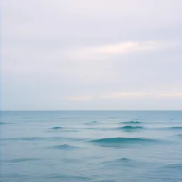 Mono My Love (soft)