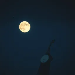 Moonlight’s Run