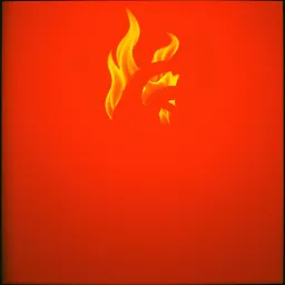 We Burn, We Rise