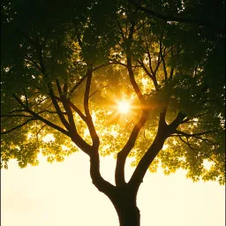Hey cousin