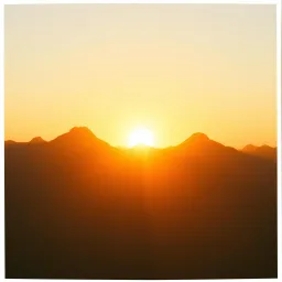 Rise From the Fire