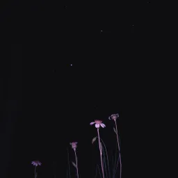 El.silencio 1. 1