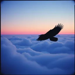 Raven in the Sky