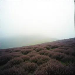 Scottish skies