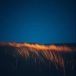 Under Falling Stars