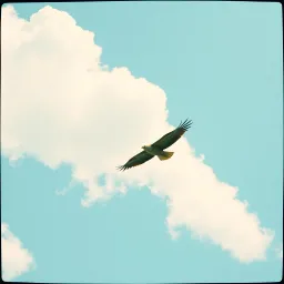 My wings