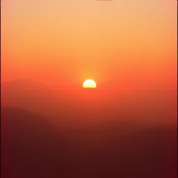 Dawn Chase